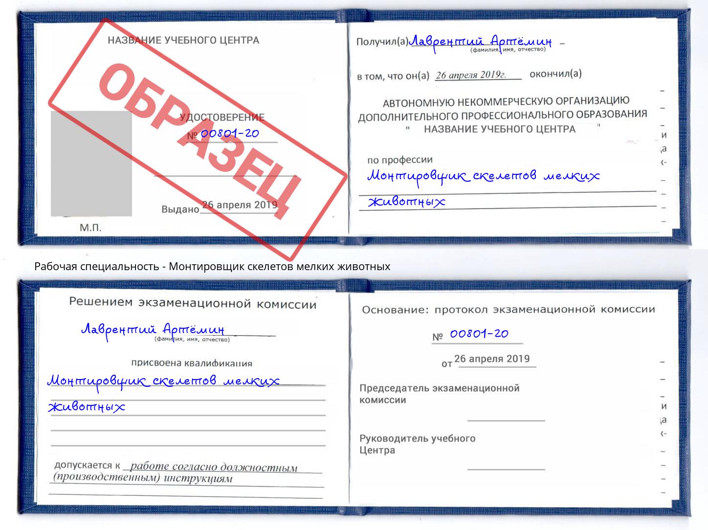 Монтировщик скелетов мелких животных Красноуфимск