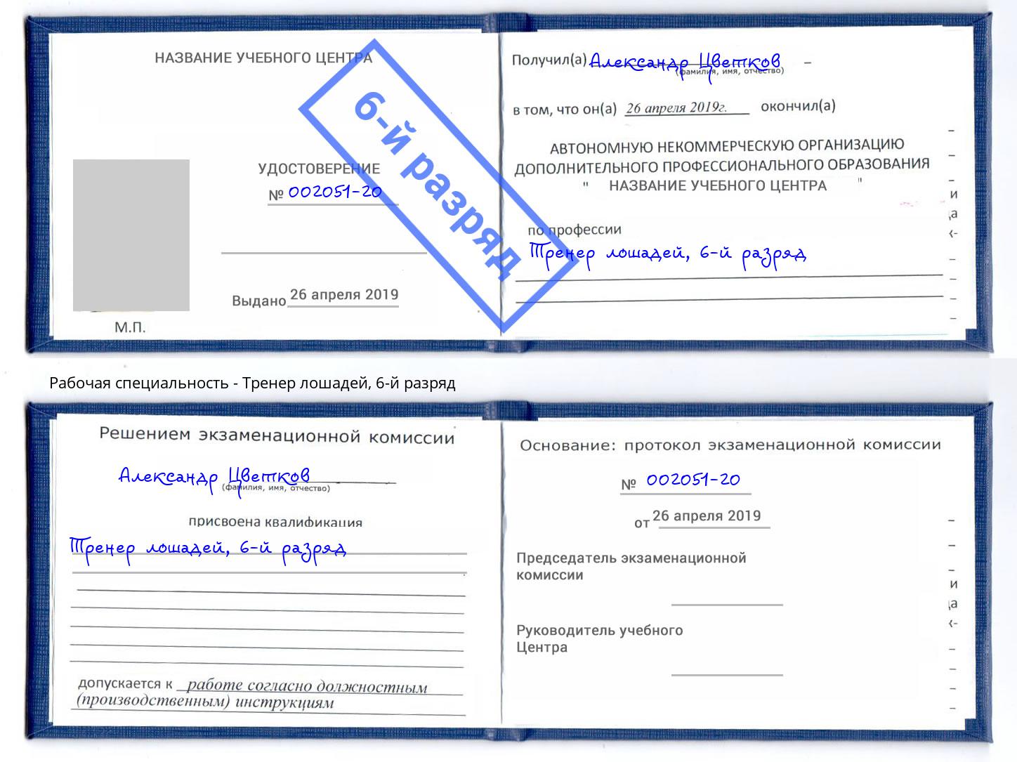 корочка 6-й разряд Тренер лошадей Красноуфимск